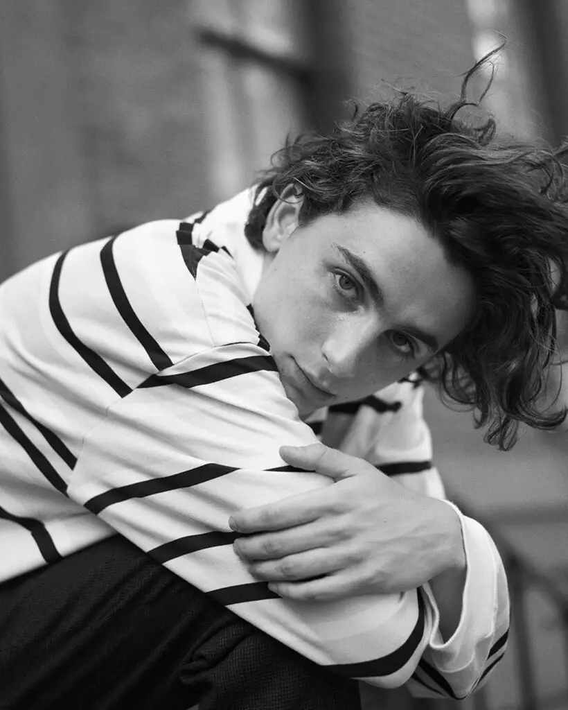 Timothee Chalamet Age, Wiki, Height, Girlfriend, Family, Images