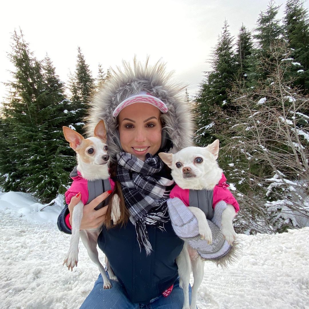 Katie Banks dogs