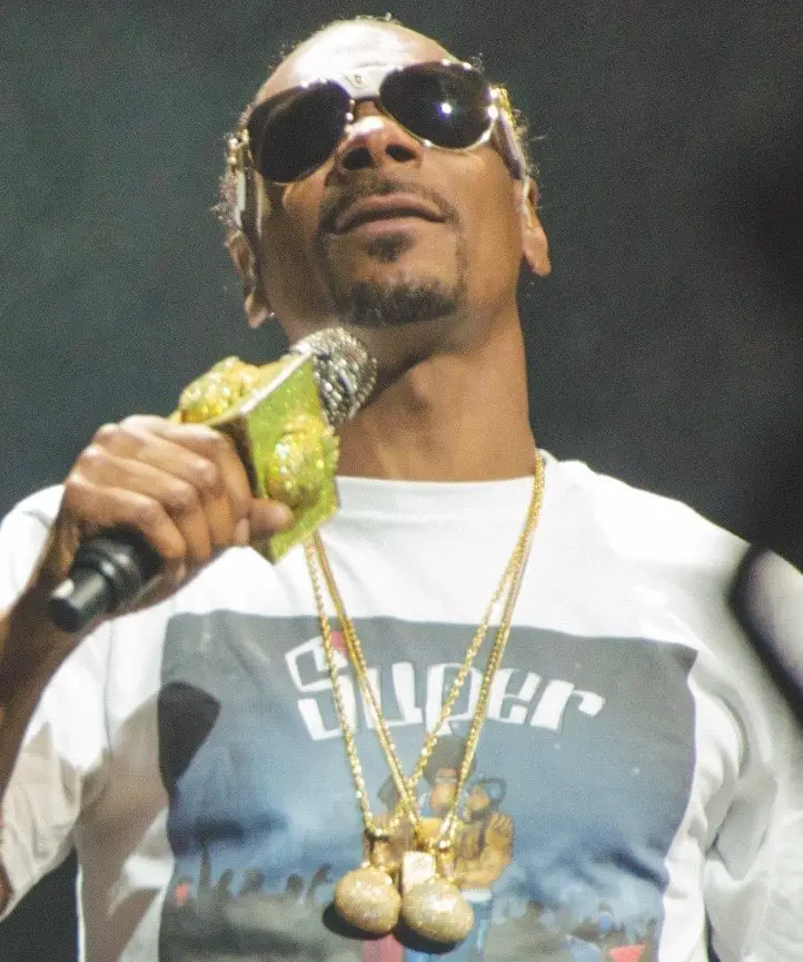 Snoop Dogg career